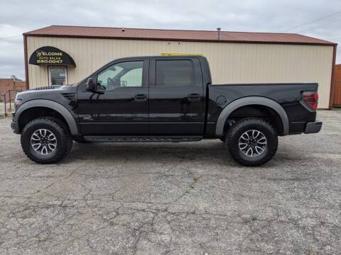 2013 Ford F-150 for sale at Welcome Auto Sales LLC in Greenville SC