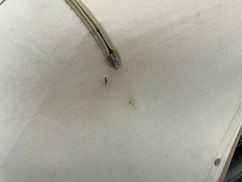 1949 Studebaker Commander