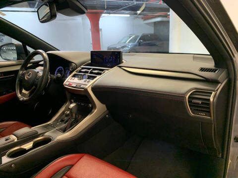 2020 Lexus NX 300 F SPORT