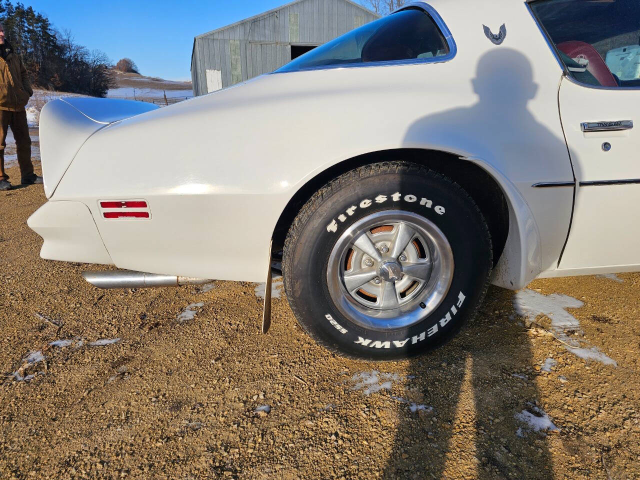 1976 Pontiac Trans Am 115
