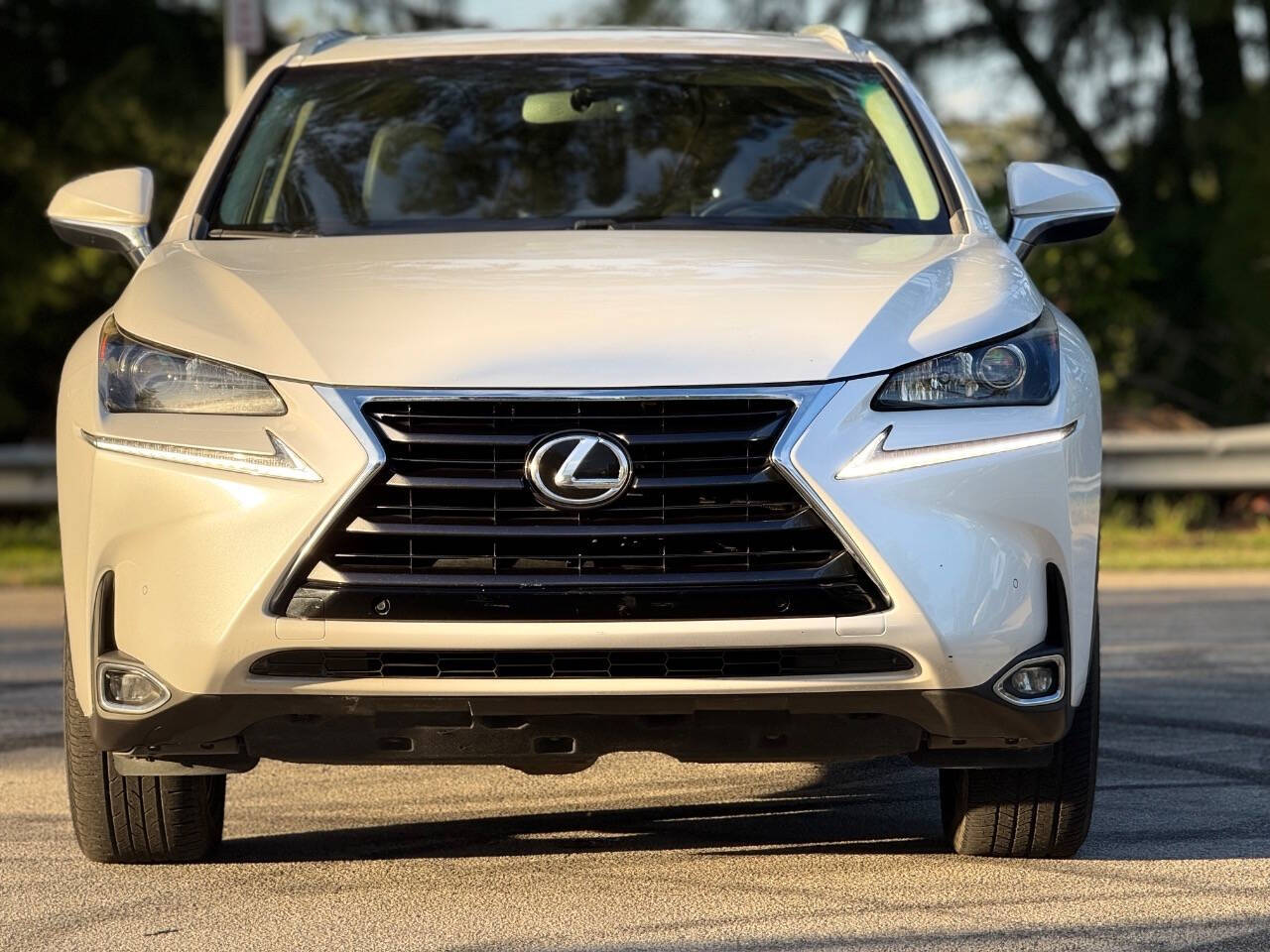 2017 Lexus NX 200t for sale at All Will Drive Motors in Davie, FL