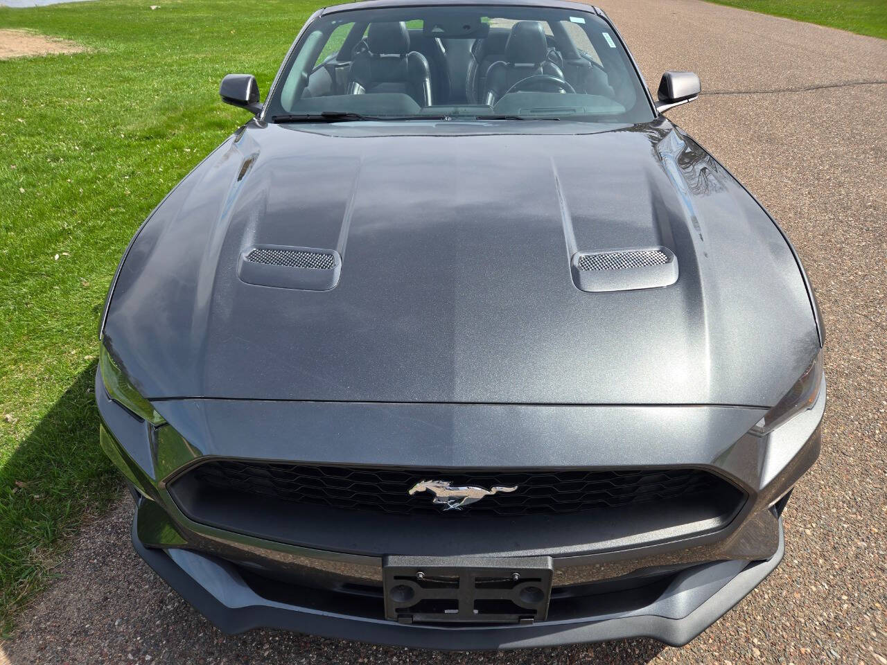 2019 Ford Mustang 19