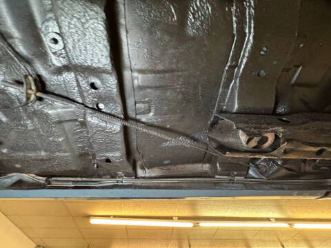 1981 Pontiac Firebird Trans Am