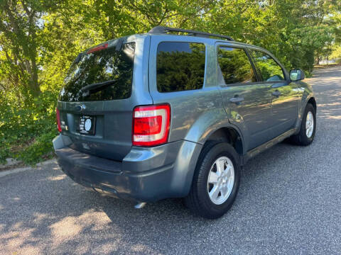 2010 Ford Escape XLT