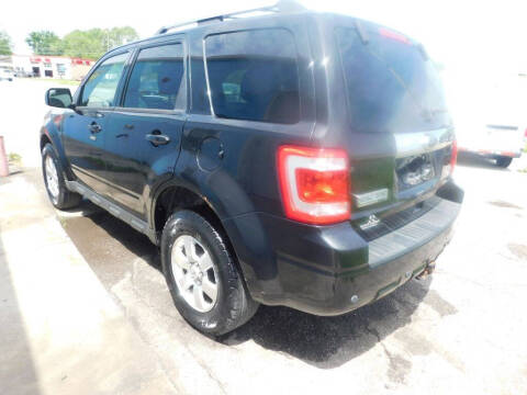 2011 Ford Escape Limited