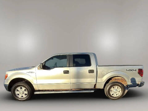 2010 Ford F-150