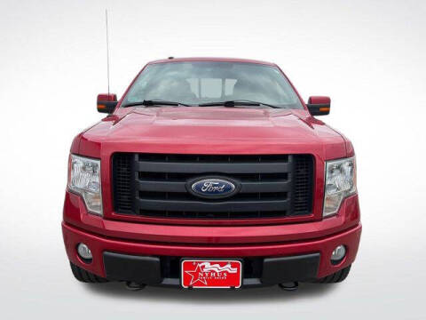 2010 Ford F-150