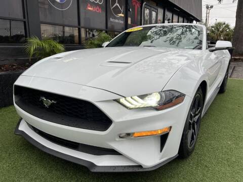 2019 Ford Mustang for sale at Cars of Tampa in Tampa FL