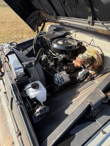 1966 Chevrolet C/K 20 Series