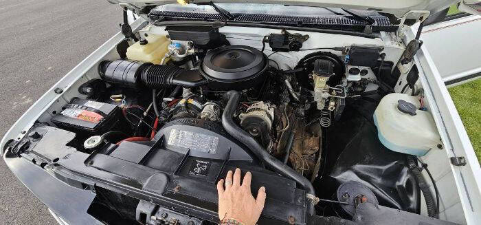 1988 Chevrolet C/K 10 Series