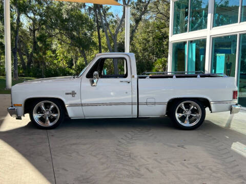 1987 Chevrolet R/V 10 Series