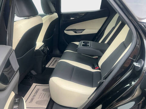 2024 Lexus NX 250 Premium