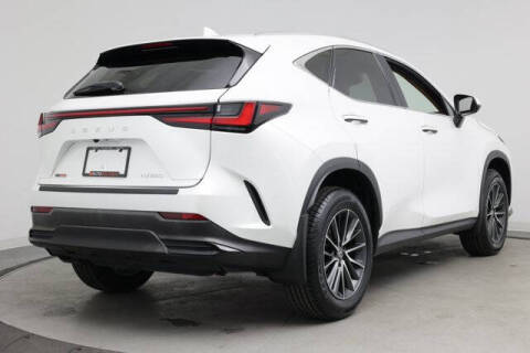 2024 Lexus NX 250