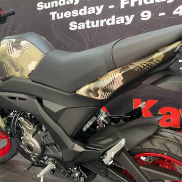 2025 Kawasaki Z125 Pro