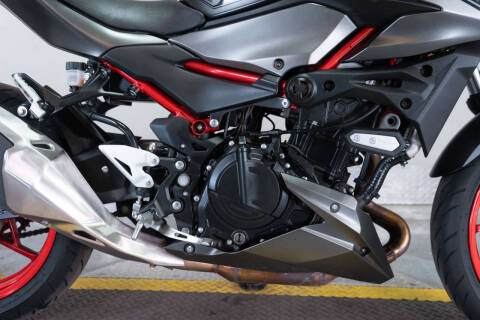 2024 Kawasaki Z500 SE ABS