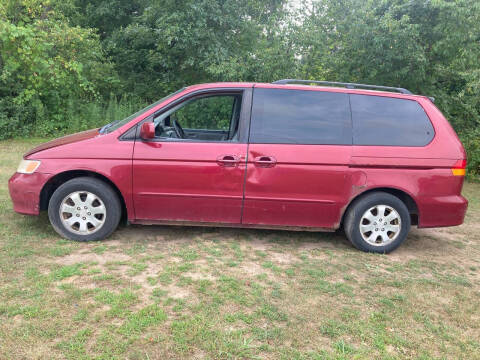 2003 Honda Odyssey for sale at Expressway Auto Auction in Howard City MI