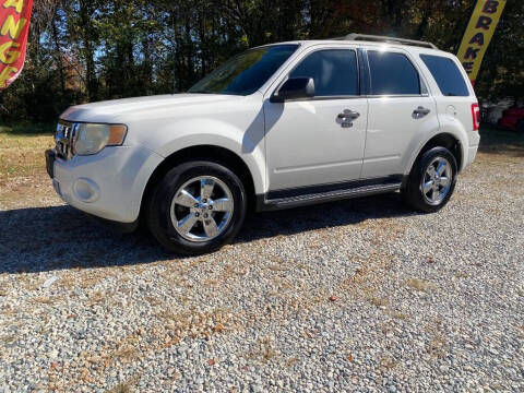 2010 Ford Escape XLT
