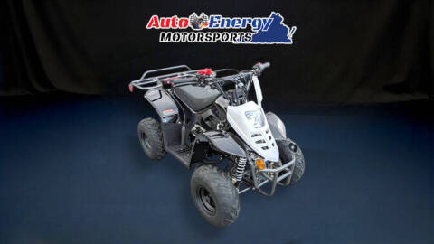 2024 TrailMaster Mini 110 Sport