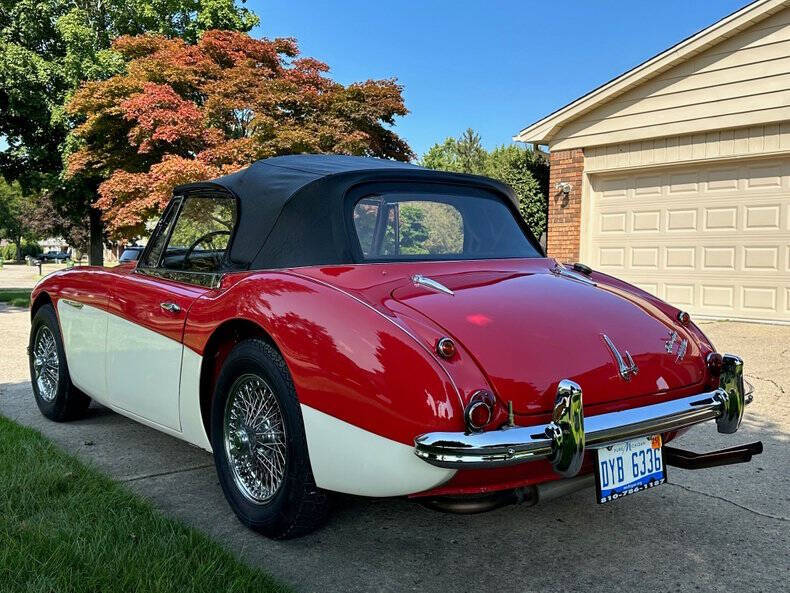 1966 Austin-Healey 3000