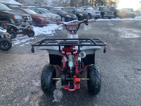 2025 Tao Motors B110