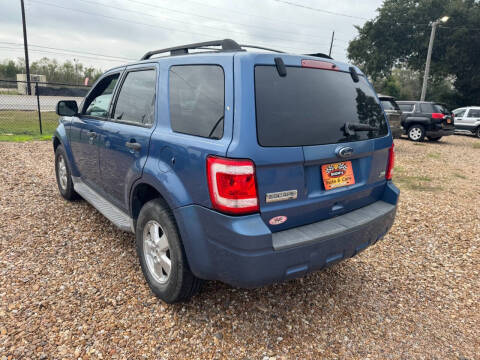 2010 Ford Escape XLT