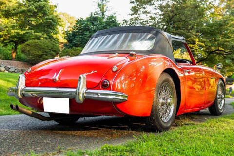 1961 Austin-Healey 3000