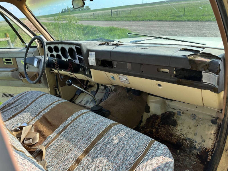 1981 Chevrolet C/K 10 Series C10