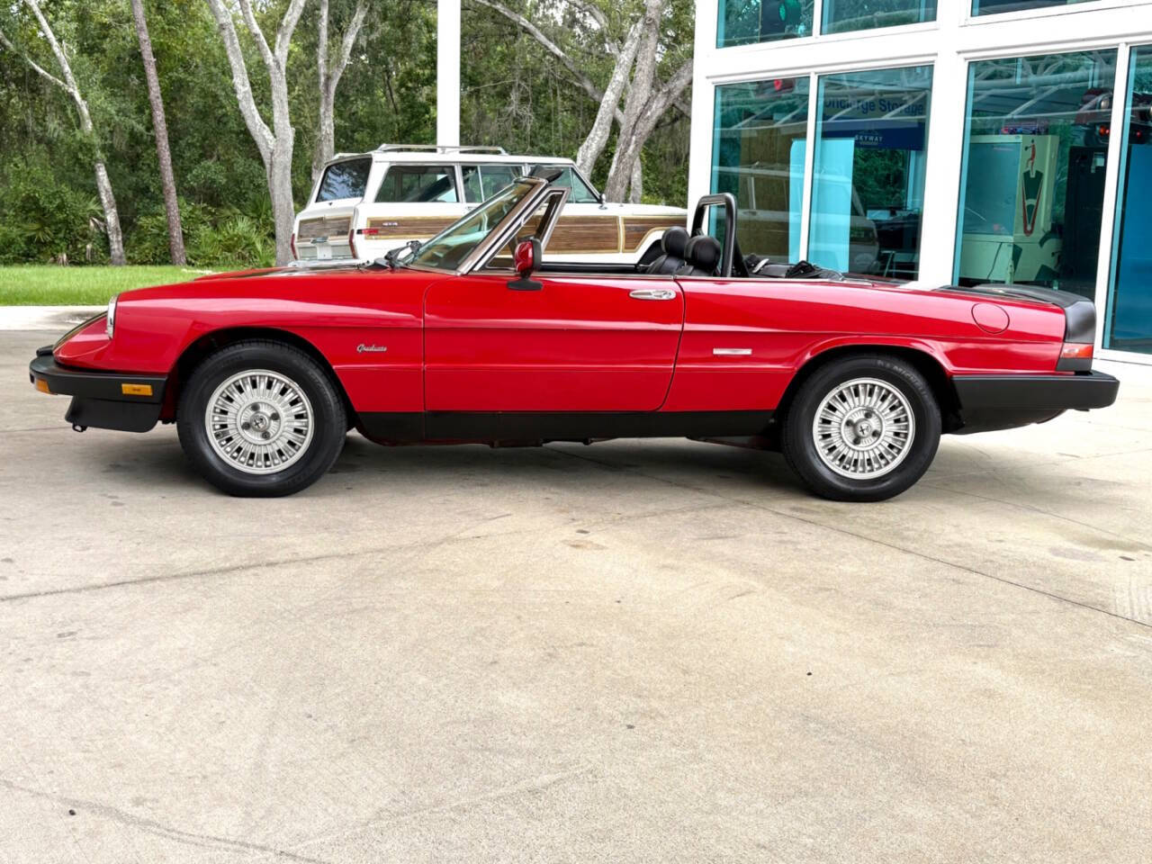 1986 Alfa Romeo Spider 9