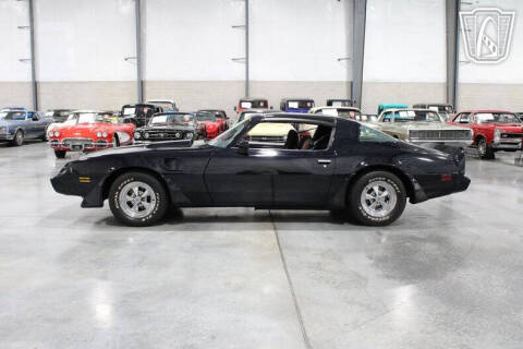 1981 Pontiac Firebird Trans Am