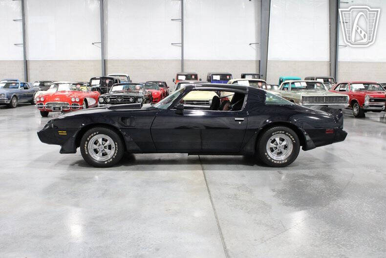 1981 Pontiac Firebird Trans Am