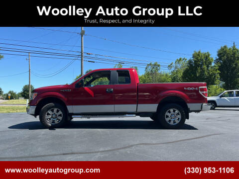 2009 Ford F-150 for sale at Woolley Auto Group LLC in Poland OH