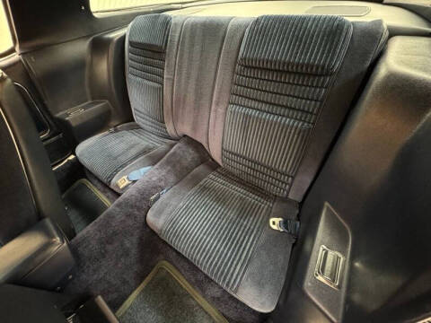 1981 Pontiac Firebird Trans Am