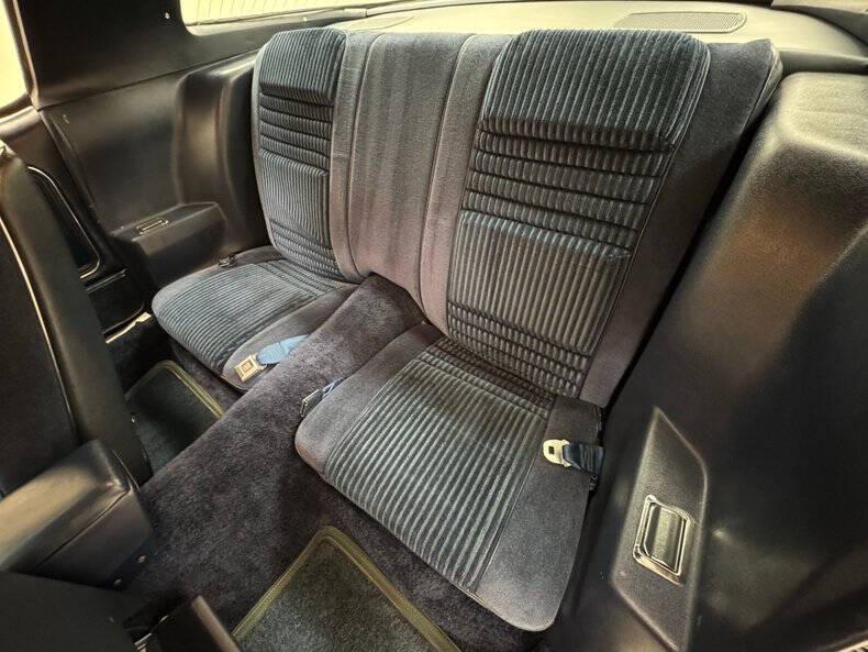 1981 Pontiac Firebird Trans Am