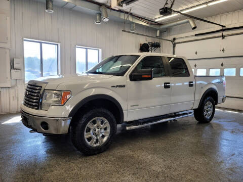 2012 Ford F-150 for sale at Sand's Auto Sales in Cambridge MN