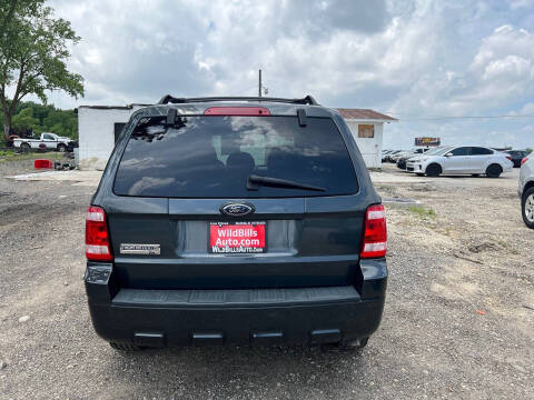 2009 Ford Escape XLT