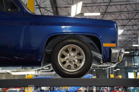 1981 Chevrolet C/K 10 Series