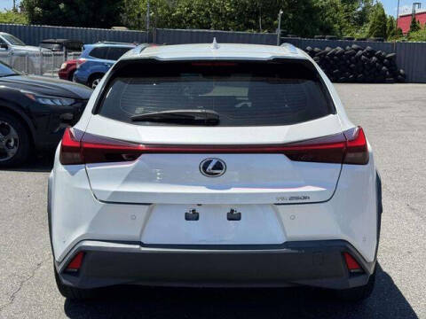 2020 Lexus UX 250h