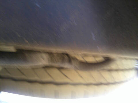 2004 Dodge Ram 2500 SLT