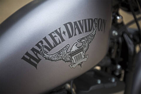 2016 Harley-Davidson Iron 883