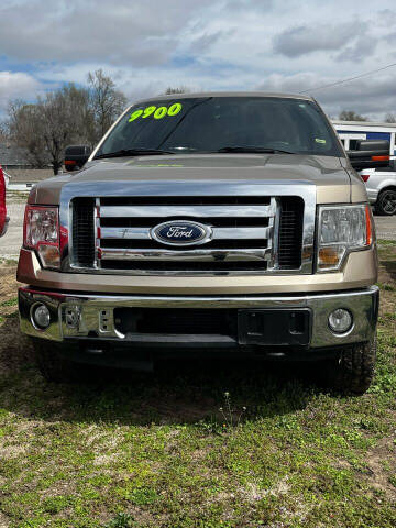 2011 Ford F-150 for sale at Carz of Marshall LLC in Marshall MO
