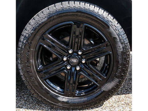 2021 Ford Expedition MAX XLT