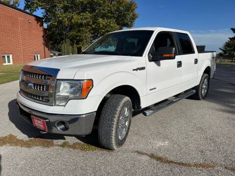 2014 Ford F-150 for sale at Smart Auto Sales in Indianola IA