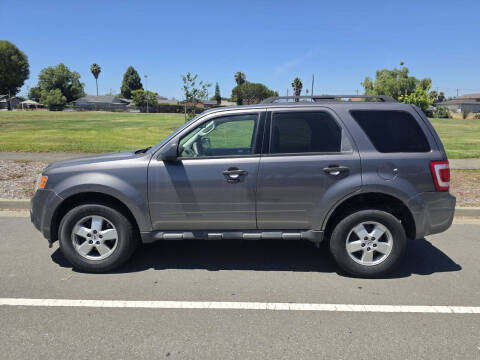 2009 Ford Escape XLT