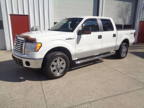2012 Ford F-150 for sale at Lewin Yount Auto Sales in Winchester VA