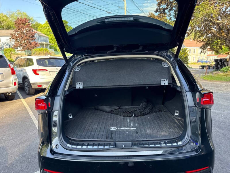 2019 Lexus NX 300h