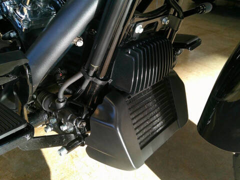 2024 Harley-Davidson Fltrt