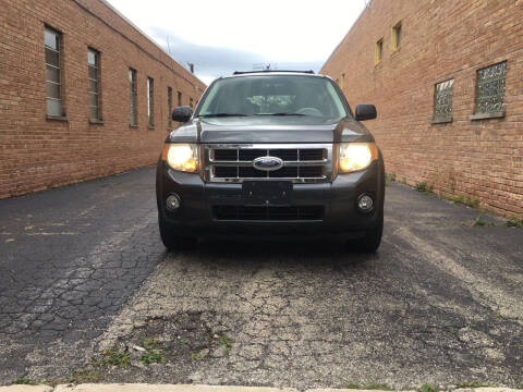 2008 Ford Escape Hybrid for sale at Schaumburg Motor Cars in Schaumburg IL