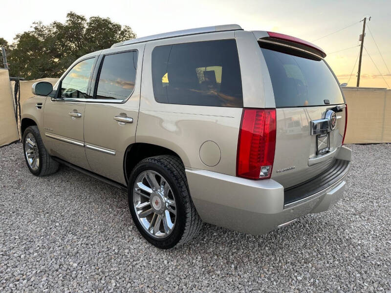 2013 Cadillac Escalade Platinum Edition