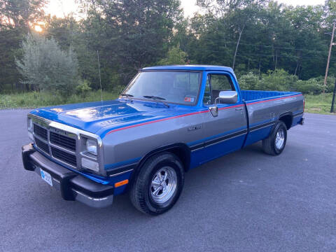 1992 Dodge RAM 150 LE