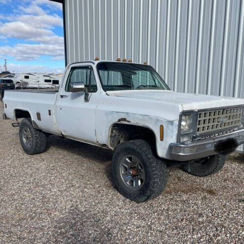 1980 Chevrolet C/K 20 Series